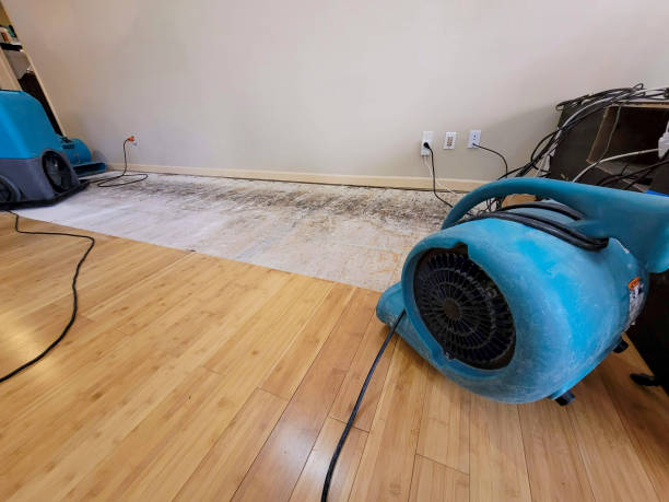 Professional Water Damage Repair technician working in Saxapahaw, NC